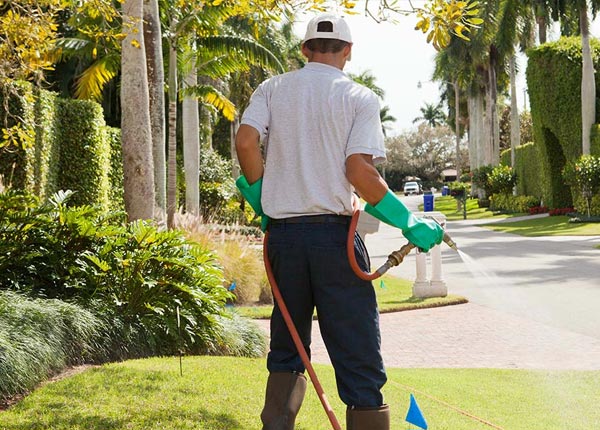 About Volga WV Pest Control
